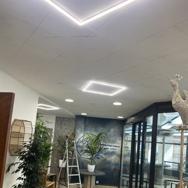 Installation d’un éclairage moderne au plafond d’un commerce à Le Grand Lemps, Voiron ou Saint-Étienne-de-Saint-Geoirs